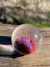 Load image into Gallery viewer, Cardinal Red Implosion Blend 1.33 inch Handmade Glass Marble