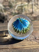 Load image into Gallery viewer, Xenomorph Implosion Flower Marble 1.42 Inch Glass Art Handmade Marble