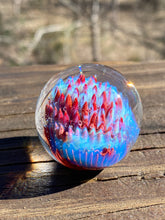 Load image into Gallery viewer, Push Pop Blue and Sunstone Glass Marble 1.31 inch