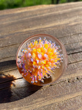 Load image into Gallery viewer, Yellow &amp; Pink Exploding FIESTA Flower Implosion Handmade Glass Marble 1.38 inch
