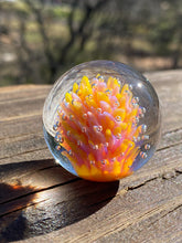 Load image into Gallery viewer, Yellow &amp; Pink Exploding FIESTA Flower Implosion Handmade Glass Marble 1.38 inch
